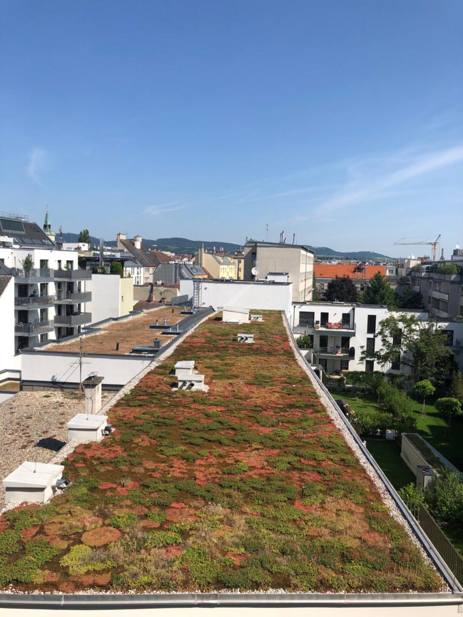 Vienna Sunny Side Up Apartments エクステリア 写真